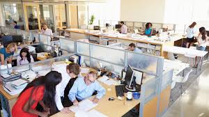 Crossing Borders: Sponsored Positions in InsurTech for Foreign Professionals